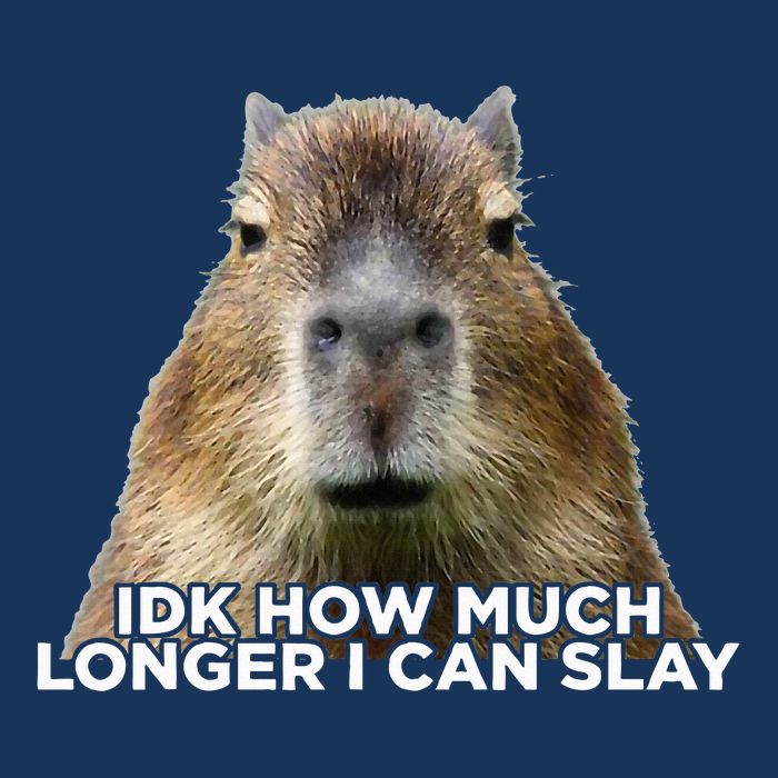 Idk How Much Longer I Can Slay Capybara Sarcastic Dank Meme Infant Baby Jersey Bodysuit