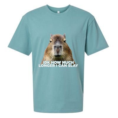 Idk How Much Longer I Can Slay Capybara Sarcastic Dank Meme Sueded Cloud Jersey T-Shirt