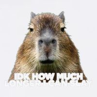 Idk How Much Longer I Can Slay Capybara Sarcastic Dank Meme Garment-Dyed Sweatshirt