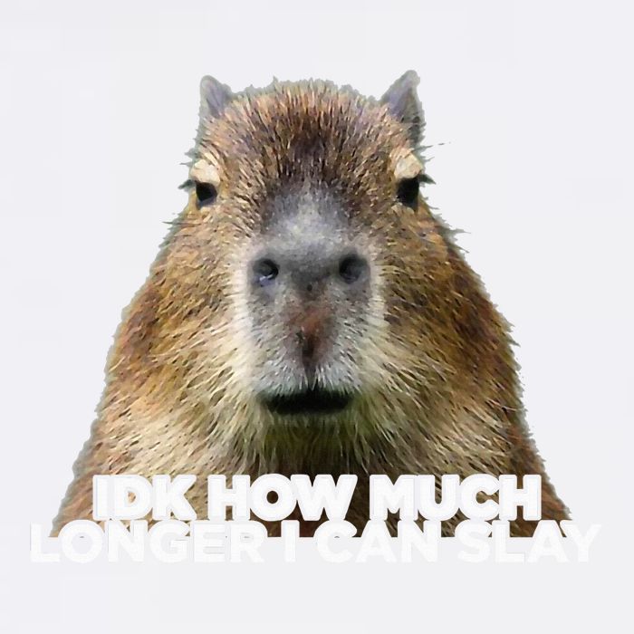 Idk How Much Longer I Can Slay Capybara Sarcastic Dank Meme Garment-Dyed Sweatshirt