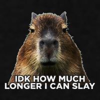 Idk How Much Longer I Can Slay Capybara Sarcastic Dank Meme Ladies PosiCharge Tri-Blend Wicking Tank