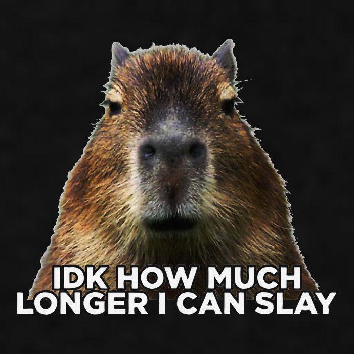 Idk How Much Longer I Can Slay Capybara Sarcastic Dank Meme Ladies PosiCharge Tri-Blend Wicking Tank