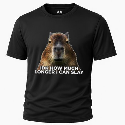 Idk How Much Longer I Can Slay Capybara Sarcastic Dank Meme Performance Shirt