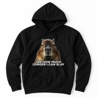 Idk How Much Longer I Can Slay Capybara Sarcastic Dank Meme Hoodie