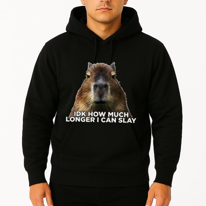 Idk How Much Longer I Can Slay Capybara Sarcastic Dank Meme Hoodie