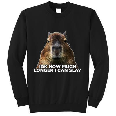 Idk How Much Longer I Can Slay Capybara Sarcastic Dank Meme Sweatshirt