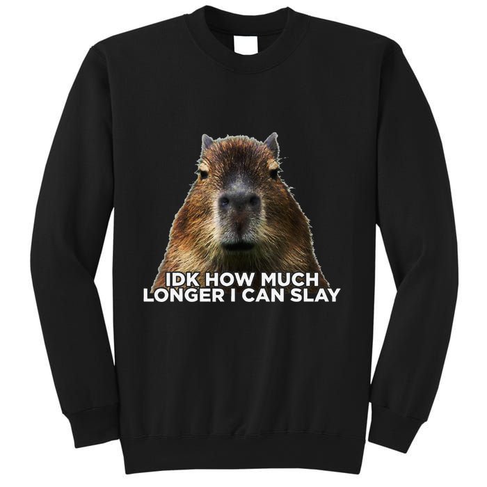 Idk How Much Longer I Can Slay Capybara Sarcastic Dank Meme Sweatshirt