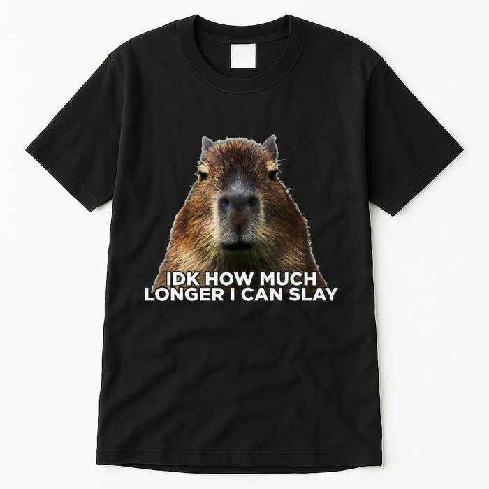 Idk How Much Longer I Can Slay Capybara Sarcastic Dank Meme Tall T-Shirt