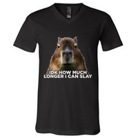 Idk How Much Longer I Can Slay Capybara Sarcastic Dank Meme V-Neck T-Shirt
