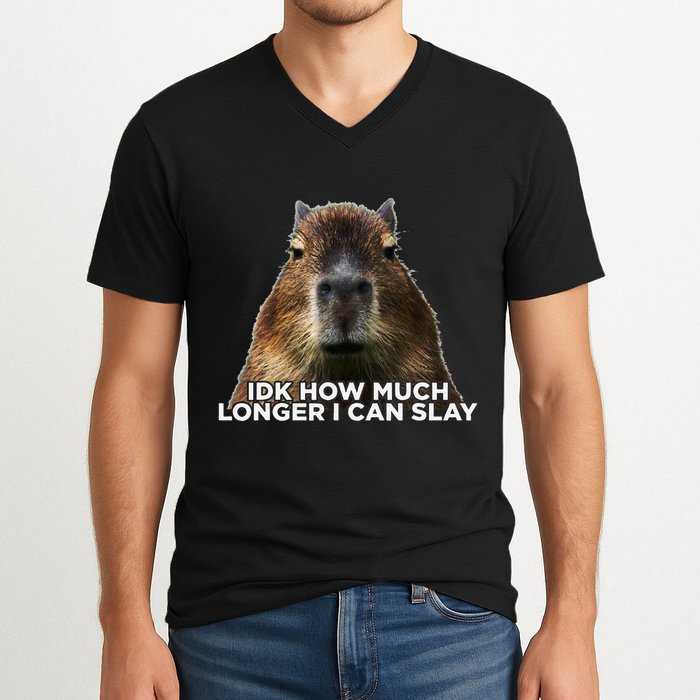 Idk How Much Longer I Can Slay Capybara Sarcastic Dank Meme V-Neck T-Shirt