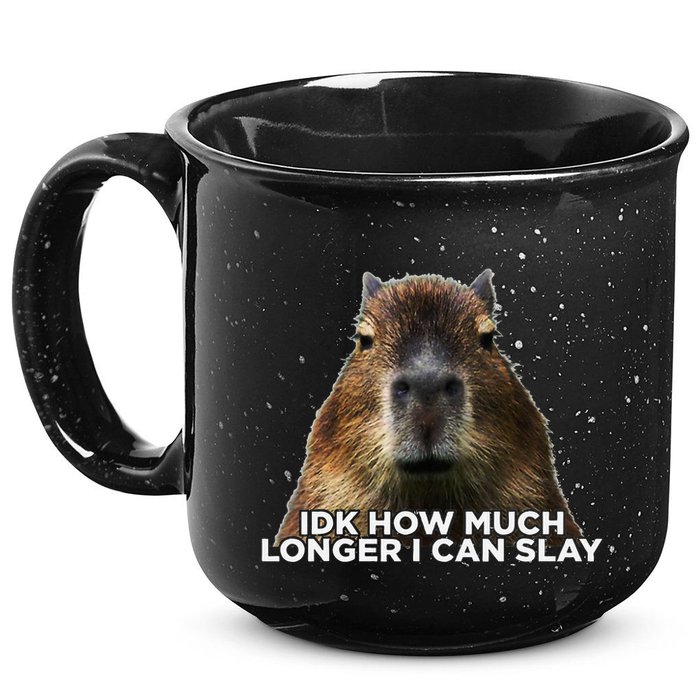 Idk How Much Longer I Can Slay Capybara Sarcastic Dank Meme 15oz Campfire Ceramic Mug