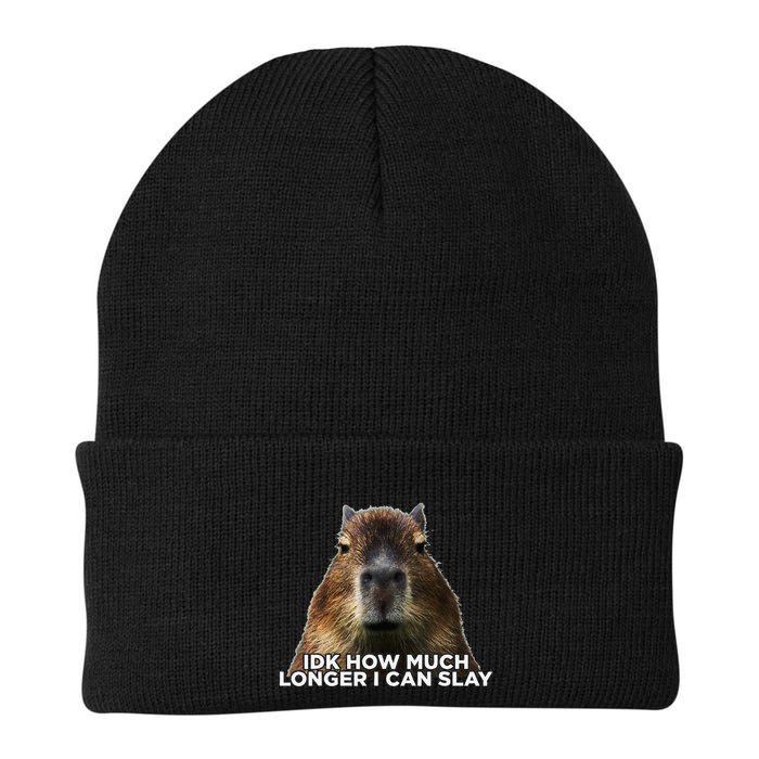 Idk How Much Longer I Can Slay Capybara Sarcastic Dank Meme Beanie