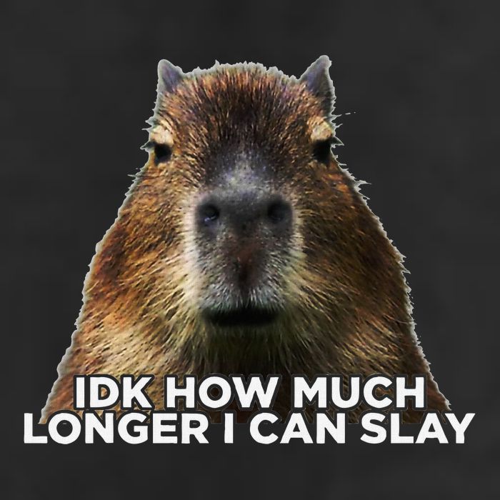Idk How Much Longer I Can Slay Capybara Sarcastic Dank Meme Beanie