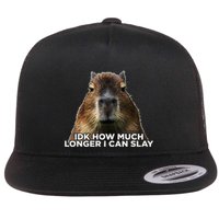 Idk How Much Longer I Can Slay Capybara Sarcastic Dank Meme Flatbill Hat
