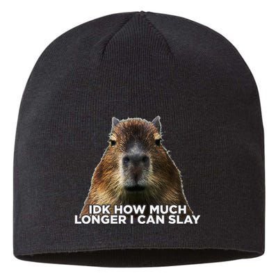 Idk How Much Longer I Can Slay Capybara Sarcastic Dank Meme Sustainable Beanie