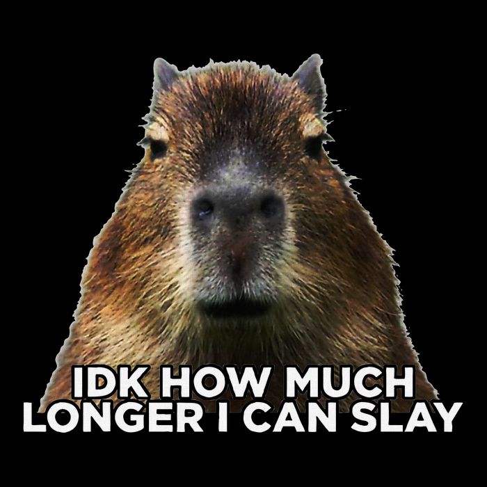 Idk How Much Longer I Can Slay Capybara Sarcastic Dank Meme Sustainable Beanie