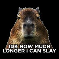 Idk How Much Longer I Can Slay Capybara Sarcastic Dank Meme 16 in Basic Backpack