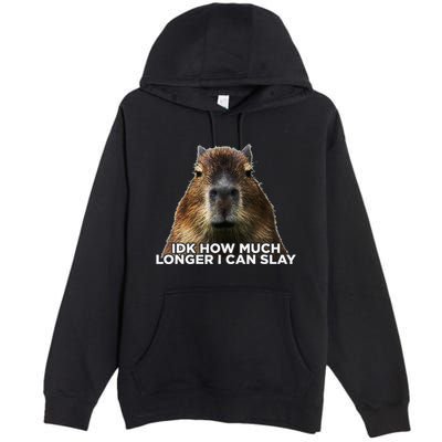 Idk How Much Longer I Can Slay Capybara Sarcastic Dank Meme Premium Pullover Hoodie