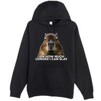 Idk How Much Longer I Can Slay Capybara Sarcastic Dank Meme Premium Pullover Hoodie
