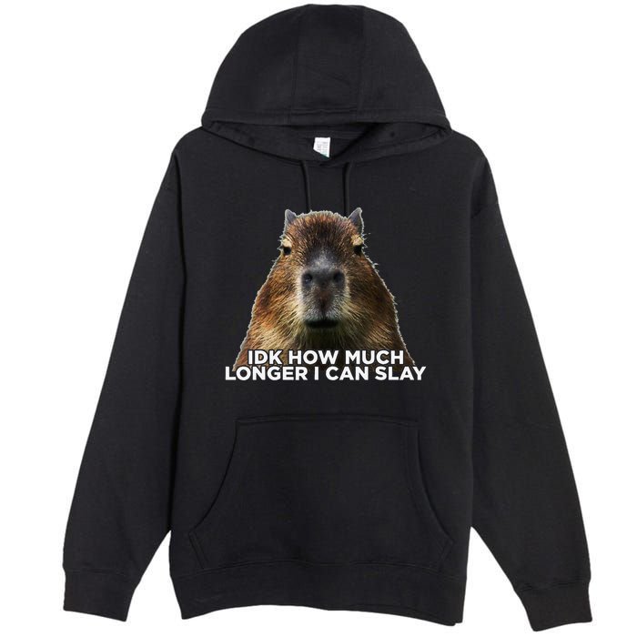 Idk How Much Longer I Can Slay Capybara Sarcastic Dank Meme Premium Pullover Hoodie