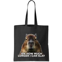 Idk How Much Longer I Can Slay Capybara Sarcastic Dank Meme Bag