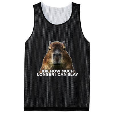 Idk How Much Longer I Can Slay Capybara Sarcastic Dank Meme Mesh Reversible Basketball Jersey Tank