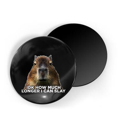 Idk How Much Longer I Can Slay Capybara Sarcastic Dank Meme Magnet