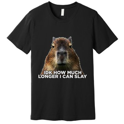 Idk How Much Longer I Can Slay Capybara Sarcastic Dank Meme Premium T-Shirt