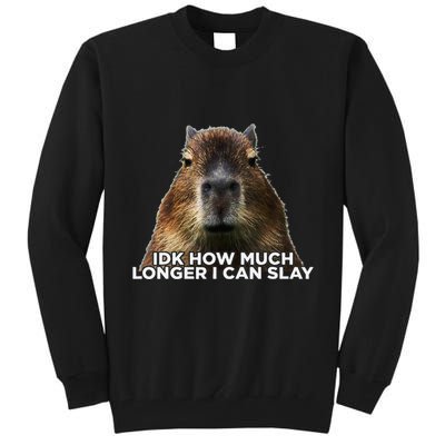 Idk How Much Longer I Can Slay Capybara Sarcastic Dank Meme Tall Sweatshirt
