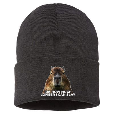 Idk How Much Longer I Can Slay Capybara Sarcastic Dank Meme Sustainable Knit Beanie