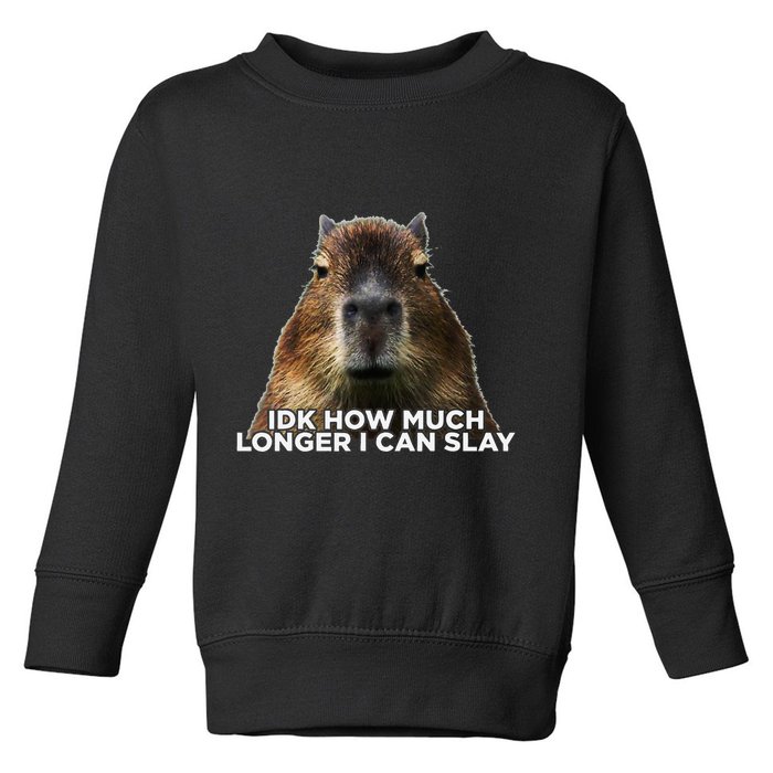 Idk How Much Longer I Can Slay Capybara Sarcastic Dank Meme Toddler Sweatshirt