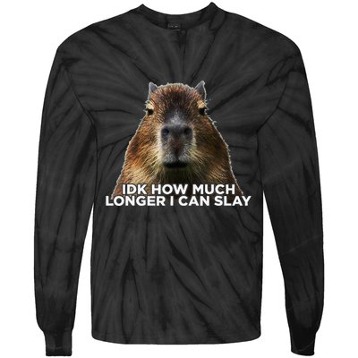 Idk How Much Longer I Can Slay Capybara Sarcastic Dank Meme Tie-Dye Long Sleeve Shirt