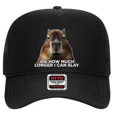 Idk How Much Longer I Can Slay Capybara Sarcastic Dank Meme Trucker Hat