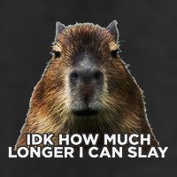 Idk How Much Longer I Can Slay Capybara Sarcastic Dank Meme Trucker Hat