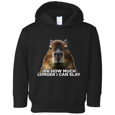 Idk How Much Longer I Can Slay Capybara Sarcastic Dank Meme Toddler Hoodie