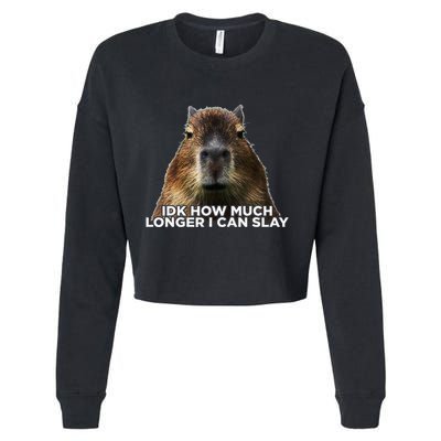 Idk How Much Longer I Can Slay Capybara Sarcastic Dank Meme Cropped Pullover Crew