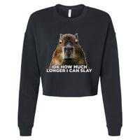 Idk How Much Longer I Can Slay Capybara Sarcastic Dank Meme Cropped Pullover Crew