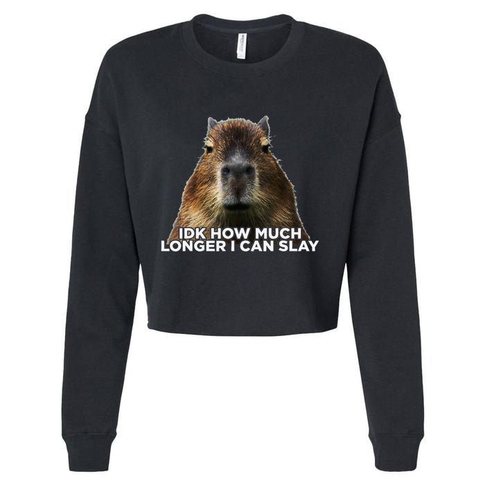 Idk How Much Longer I Can Slay Capybara Sarcastic Dank Meme Cropped Pullover Crew