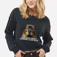 Idk How Much Longer I Can Slay Capybara Sarcastic Dank Meme Cropped Pullover Crew