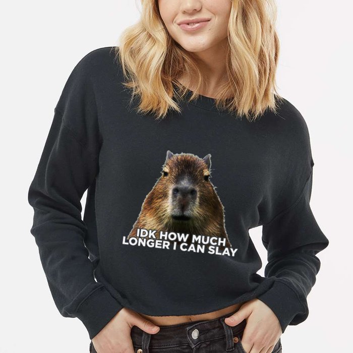 Idk How Much Longer I Can Slay Capybara Sarcastic Dank Meme Cropped Pullover Crew