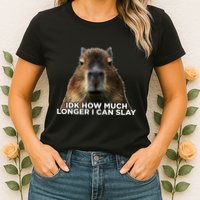 Idk How Much Longer I Can Slay Capybara Sarcastic Dank Meme Womens T-Shirt