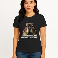 Idk How Much Longer I Can Slay Capybara Sarcastic Dank Meme Womens T-Shirt