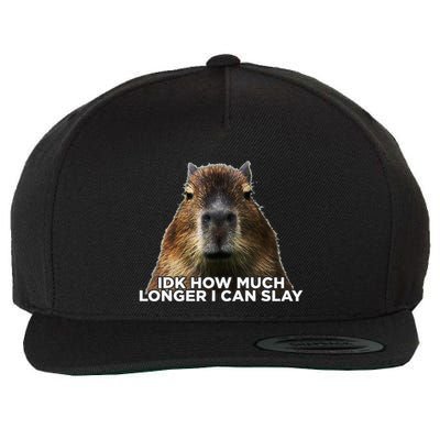 Idk How Much Longer I Can Slay Capybara Sarcastic Dank Meme Wool Snapback Cap