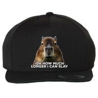 Idk How Much Longer I Can Slay Capybara Sarcastic Dank Meme Wool Snapback Cap