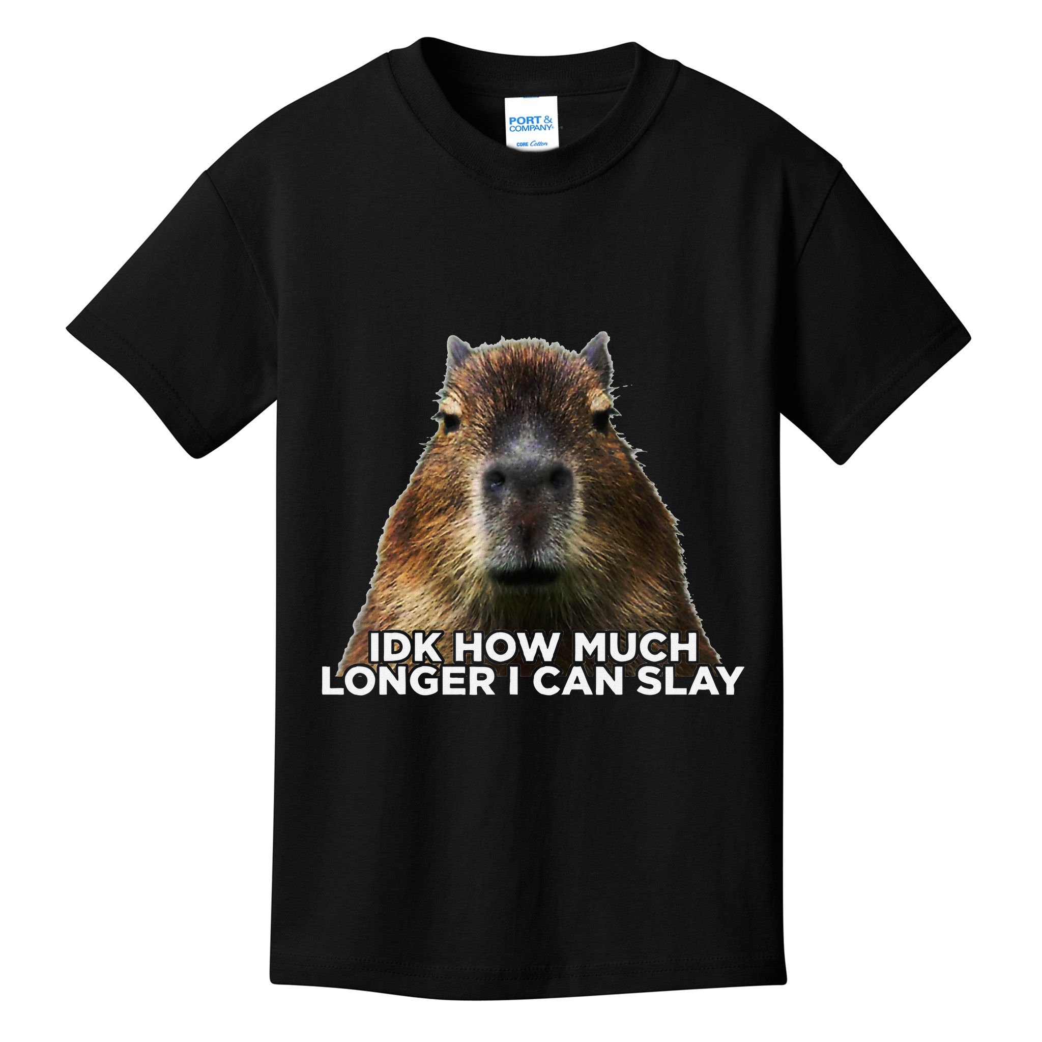 Idk How Much Longer I Can Slay Capybara Sarcastic Dank Meme Kids T-Shirt