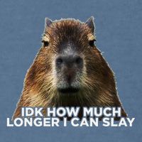 Idk How Much Longer I Can Slay Capybara Sarcastic Dank Meme Garment-Dyed Sweatshirt