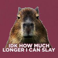 Idk How Much Longer I Can Slay Capybara Sarcastic Dank Meme 16oz Travel Tumbler