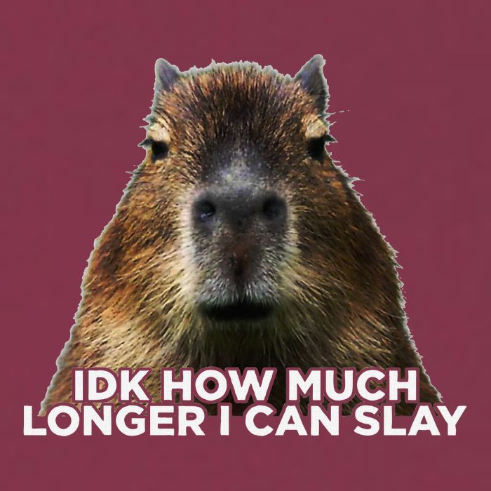 Idk How Much Longer I Can Slay Capybara Sarcastic Dank Meme 16oz Travel Tumbler