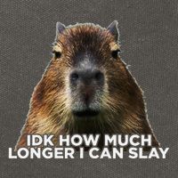 Idk How Much Longer I Can Slay Capybara Sarcastic Dank Meme Cotton Canvas Backpack