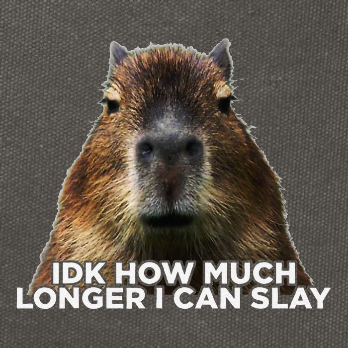 Idk How Much Longer I Can Slay Capybara Sarcastic Dank Meme Cotton Canvas Backpack